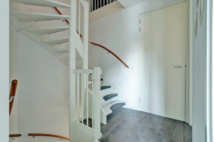 Photo 26 of Pastinaak 3