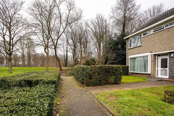 Foto 4 van Lankforst 3001