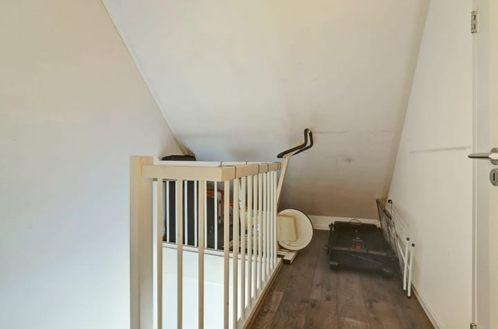 Photo 27 of Pastinaak 3