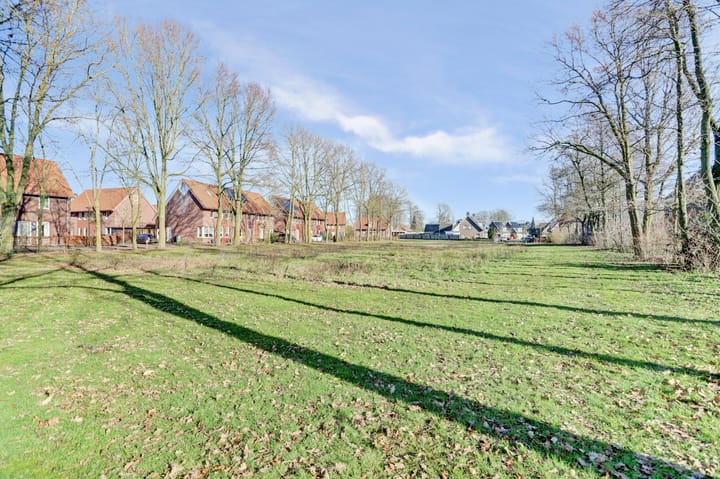 Photo 34 of Pastinaak 3