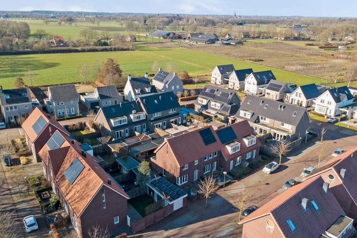 Photo 35 of Pastinaak 3