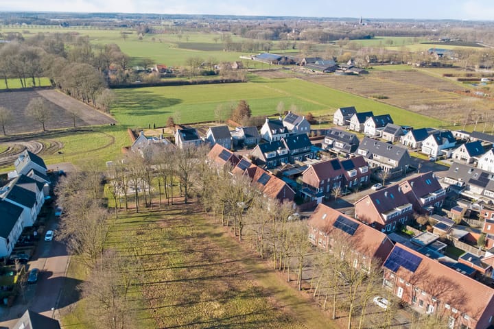 Photo 36 of Pastinaak 3