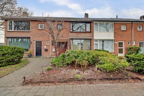 undefined main image