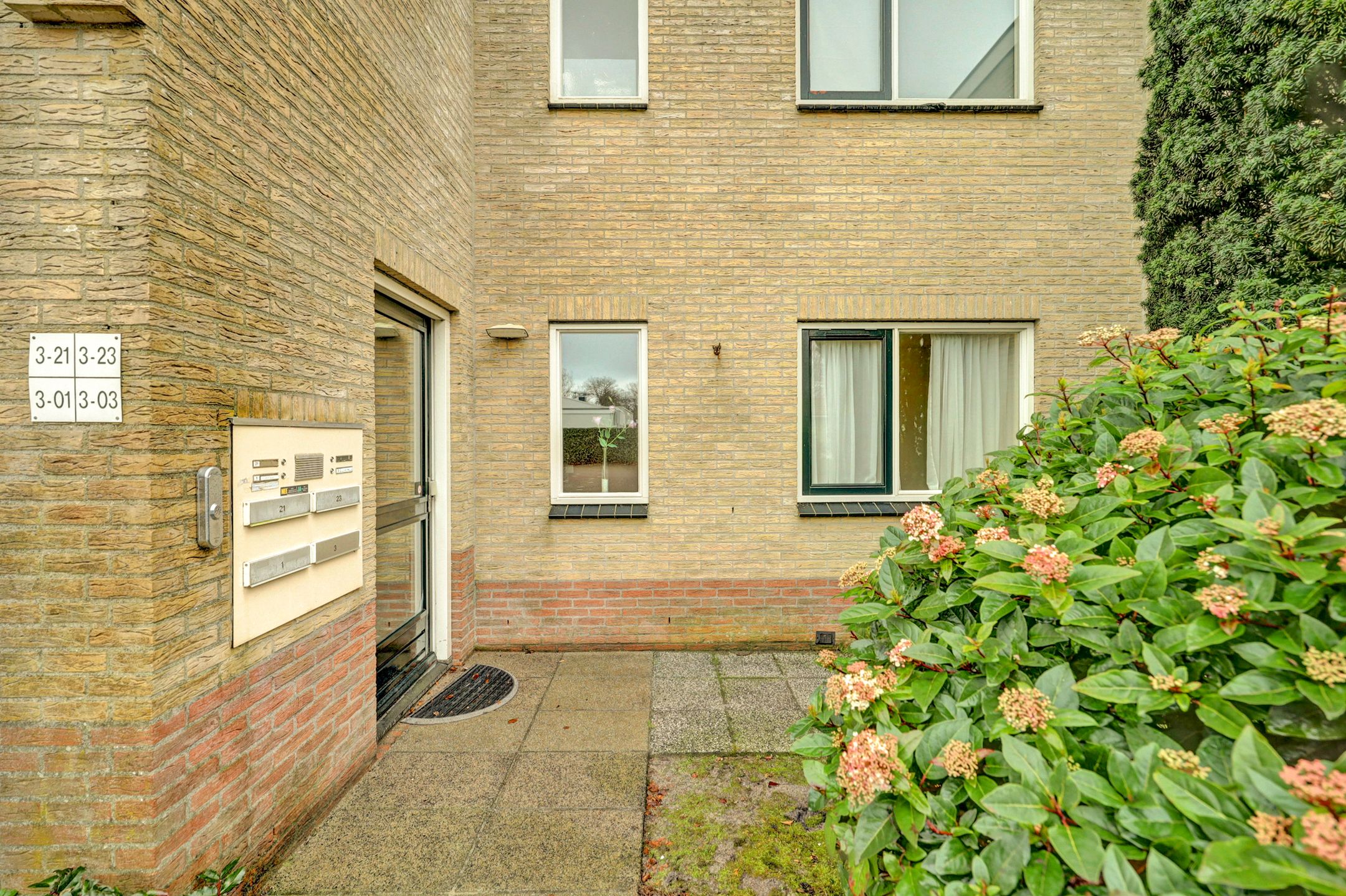 Photo 3 of Hogezoom 3-0003