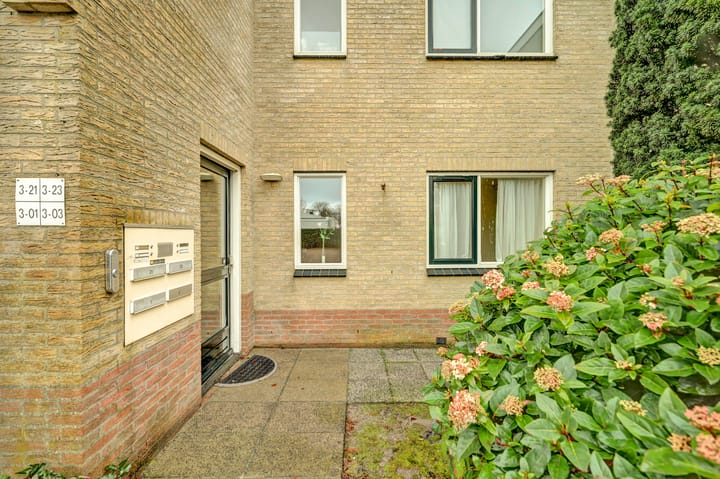 Foto 3 van Hogezoom 3-0003