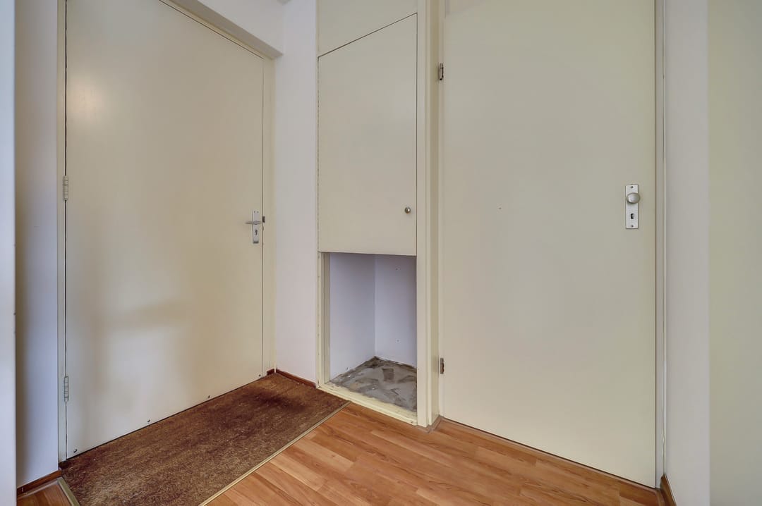 Photo 7 of Hogezoom 3-0003