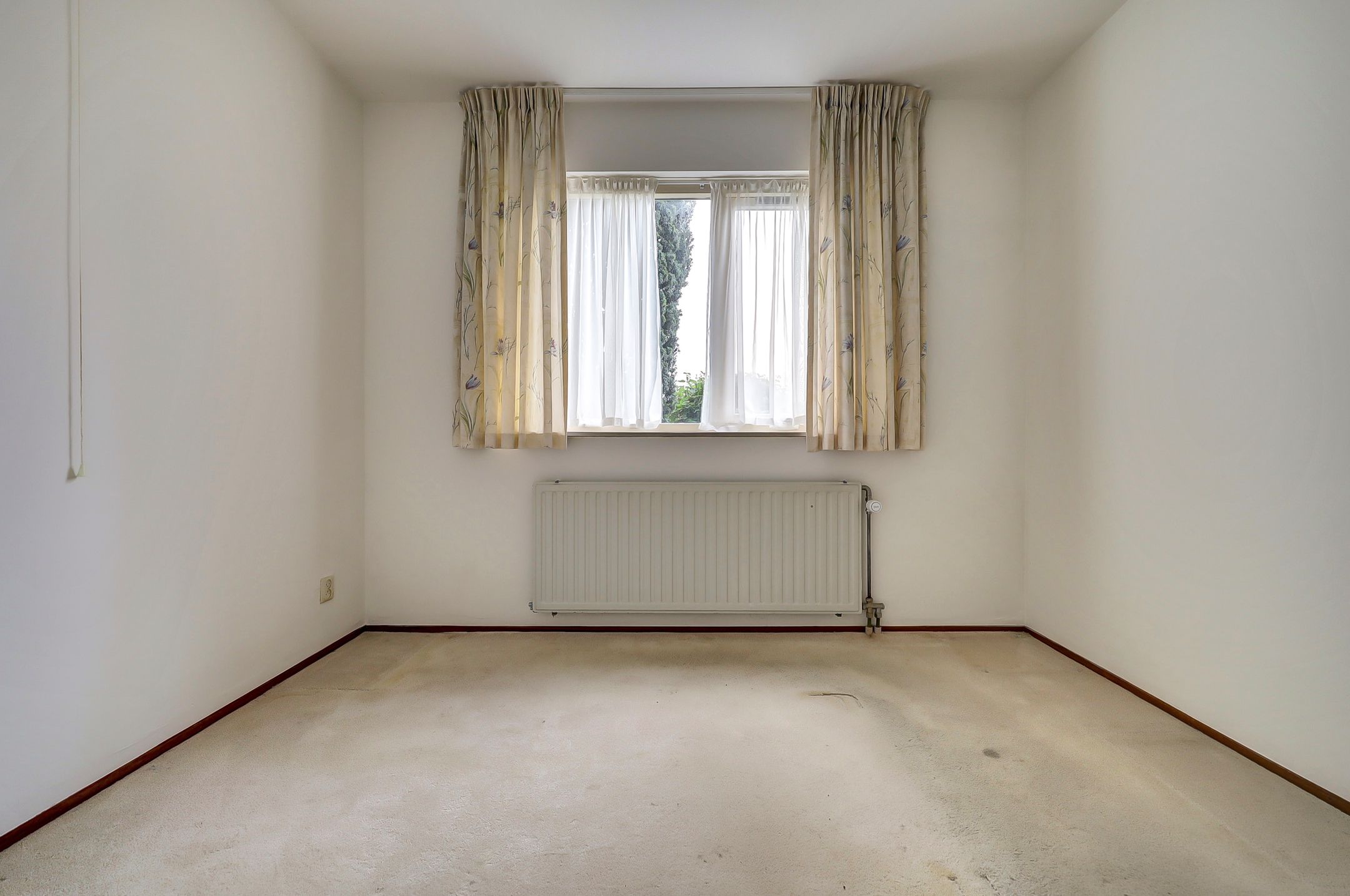 Photo 15 of Hogezoom 3-0003