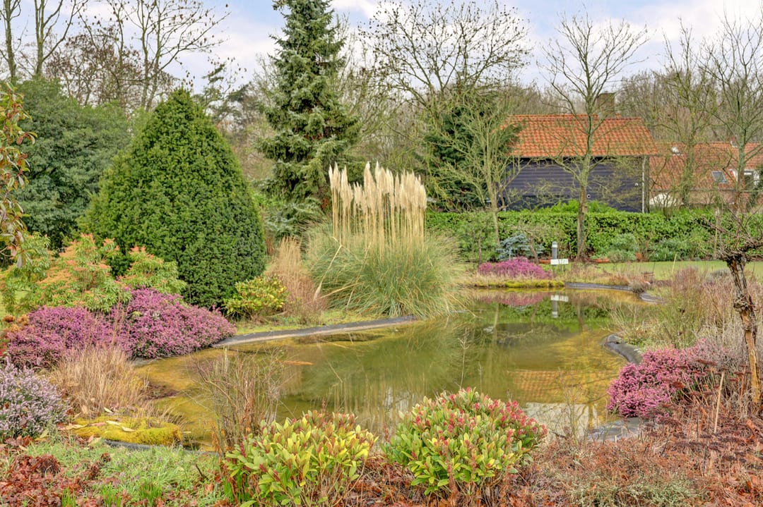 Photo 22 of Hogezoom 3-0003