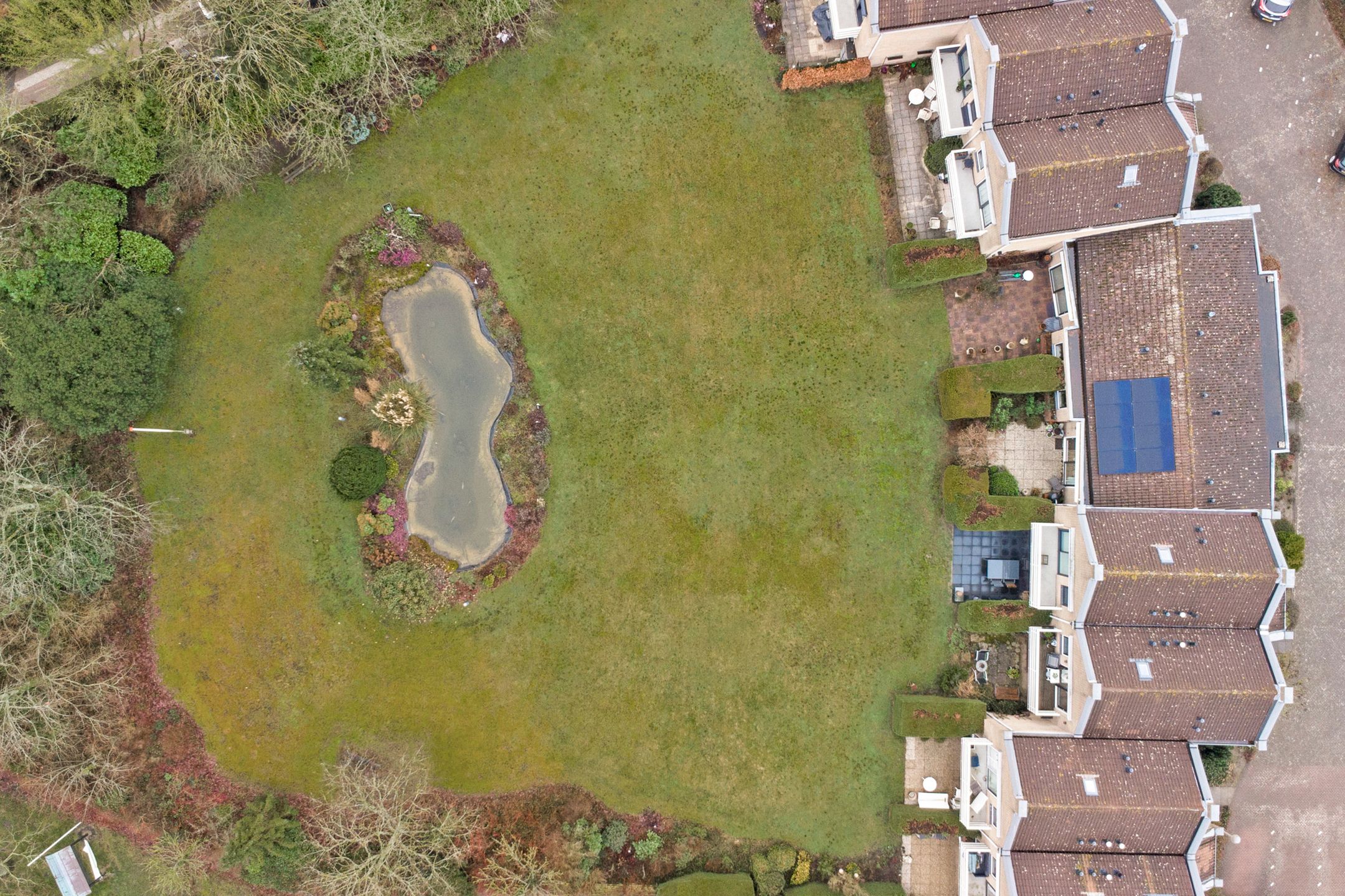 Photo 33 of Hogezoom 3-0003