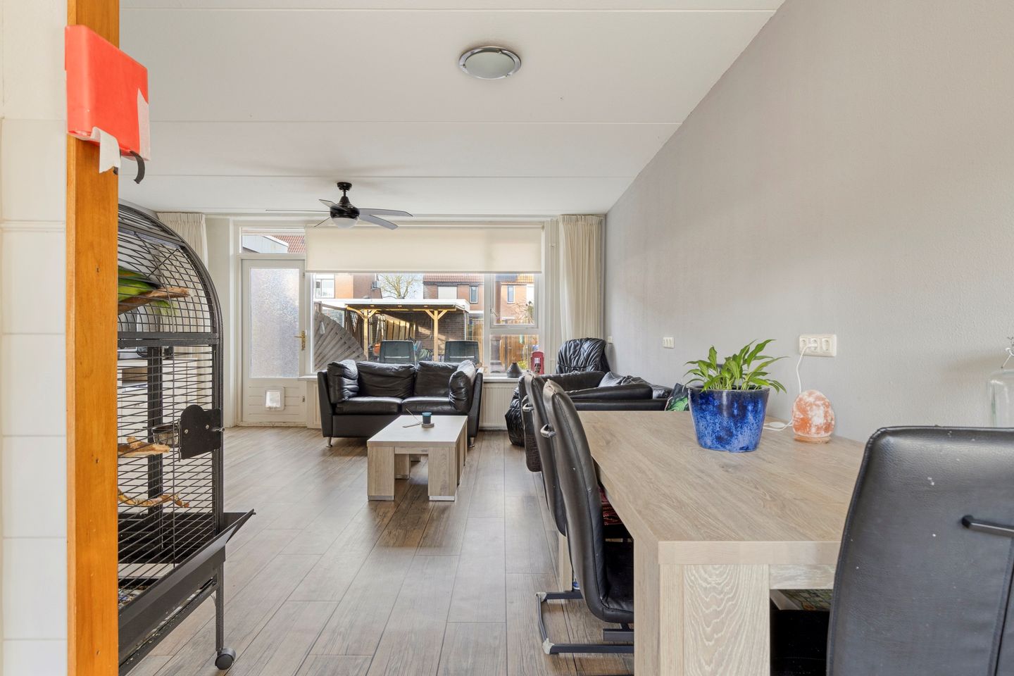 Foto 10 van Tuinfluiter 26