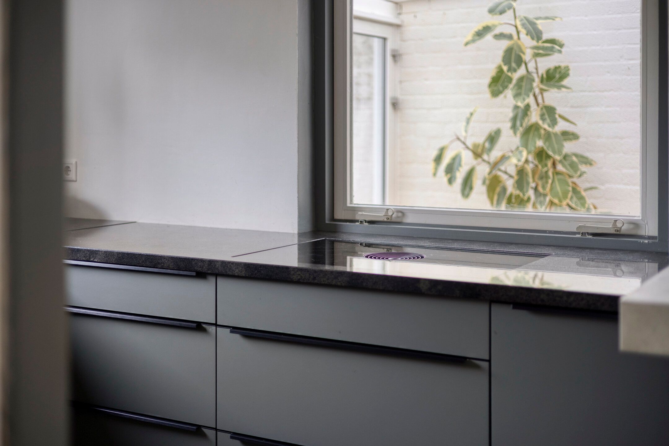 Foto 21 van Hamsterweide 22