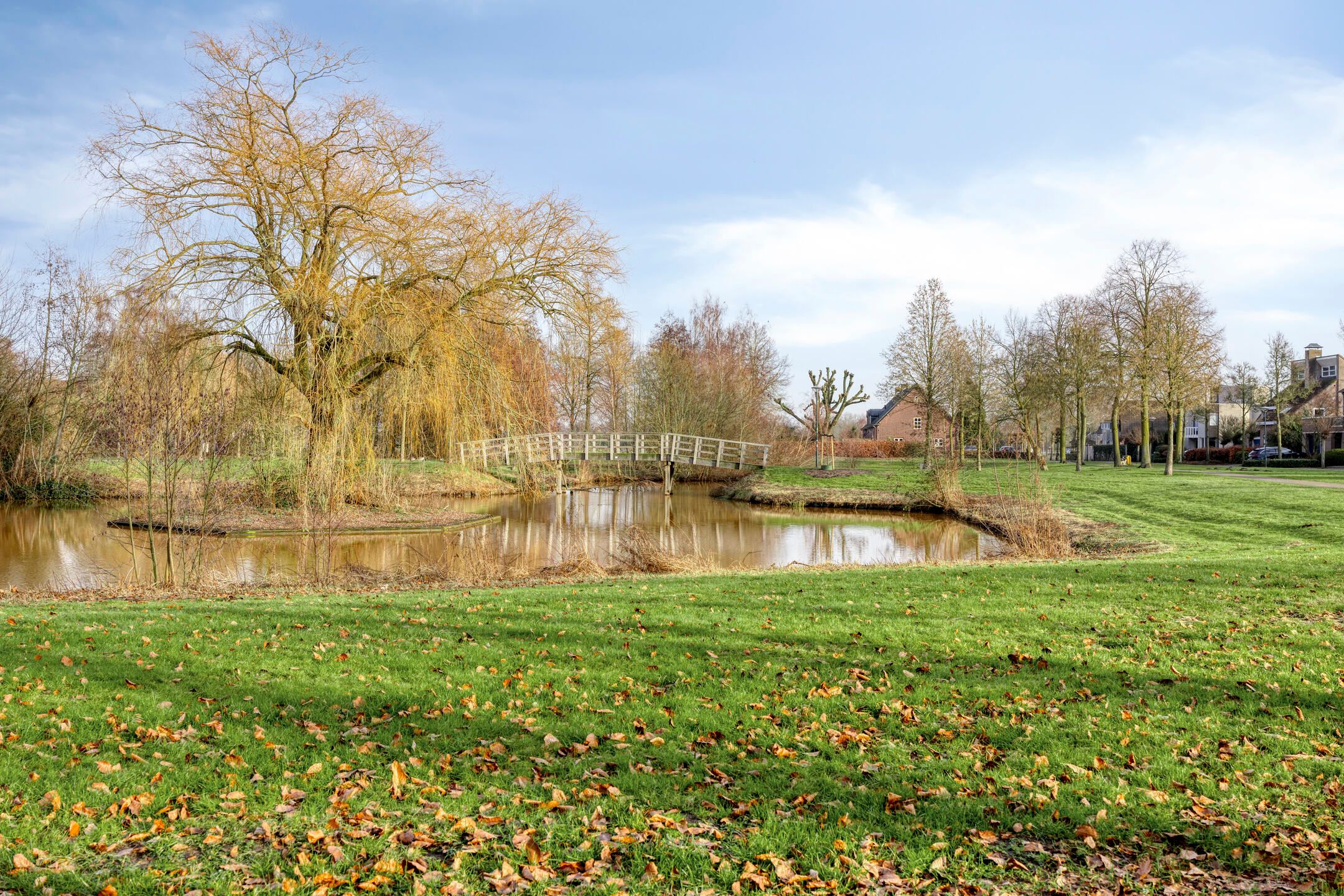 Foto 48 van Hamsterweide 22