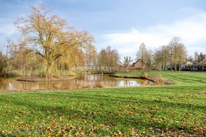 Foto 48 van Hamsterweide 22