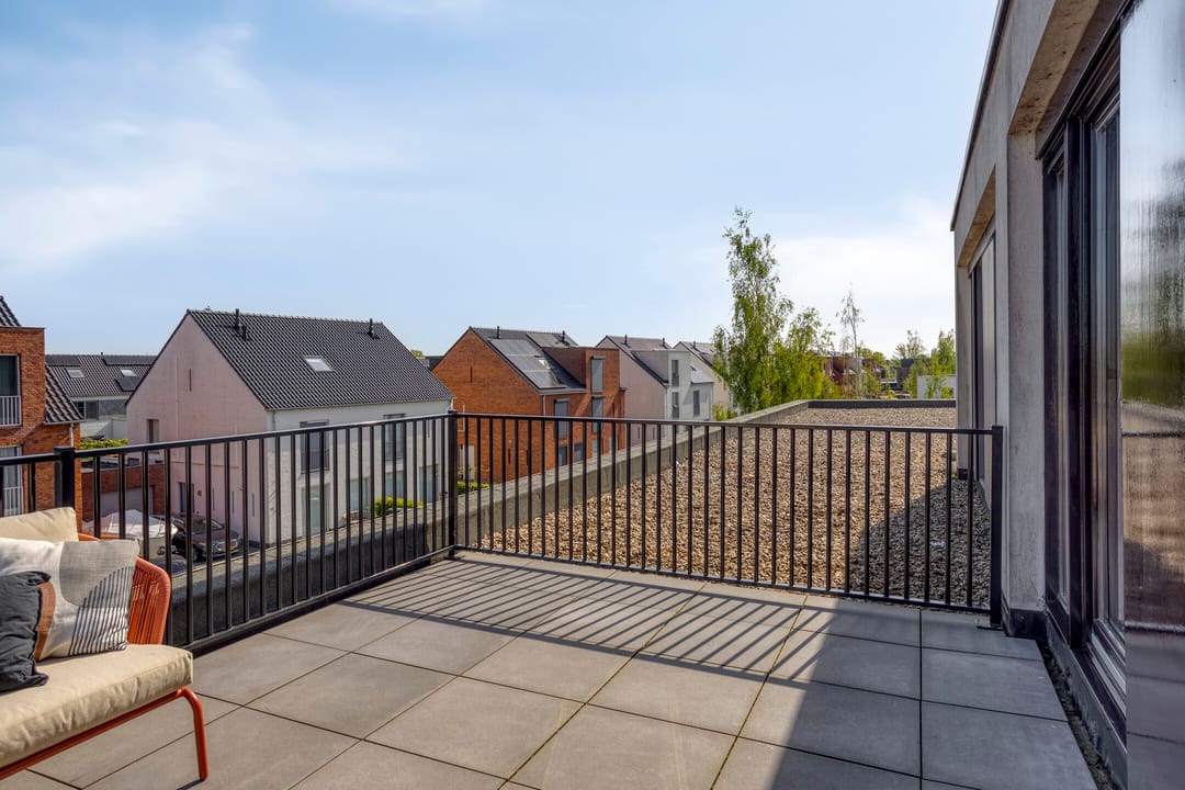 Foto 37 van Aurelia 190