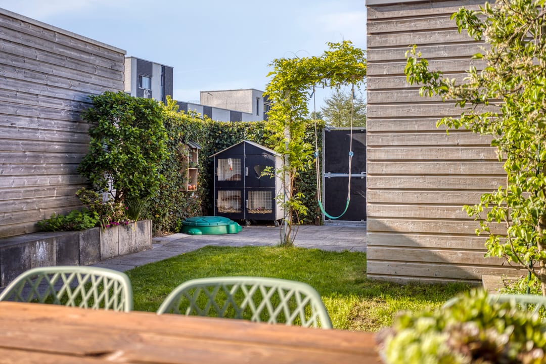 Foto 38 van Aurelia 190