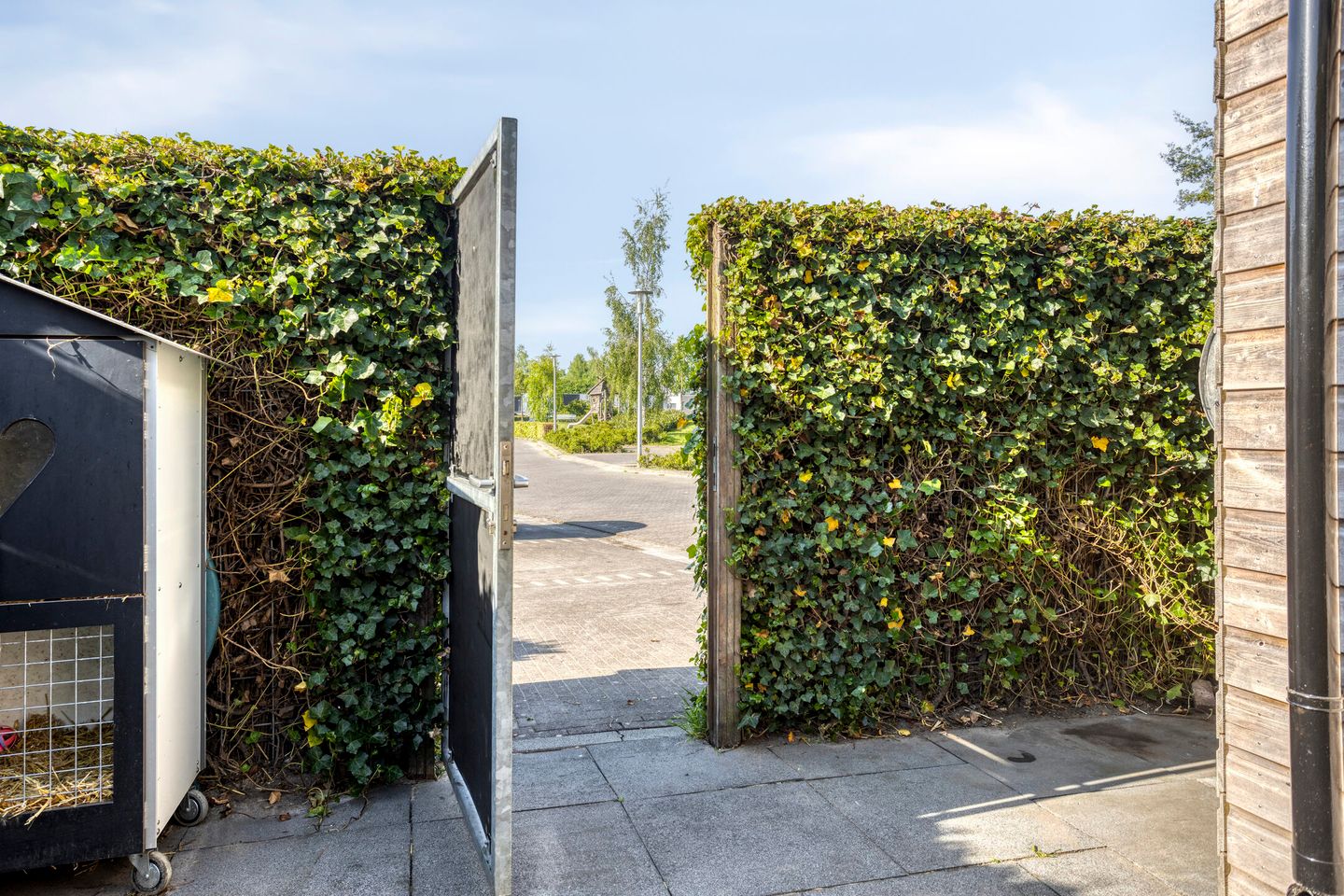 Foto 44 van Aurelia 190