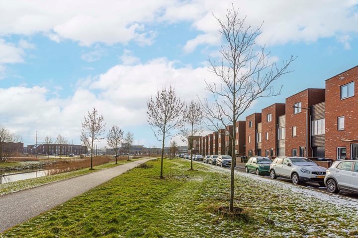 Foto 4 van Zeevaart 295