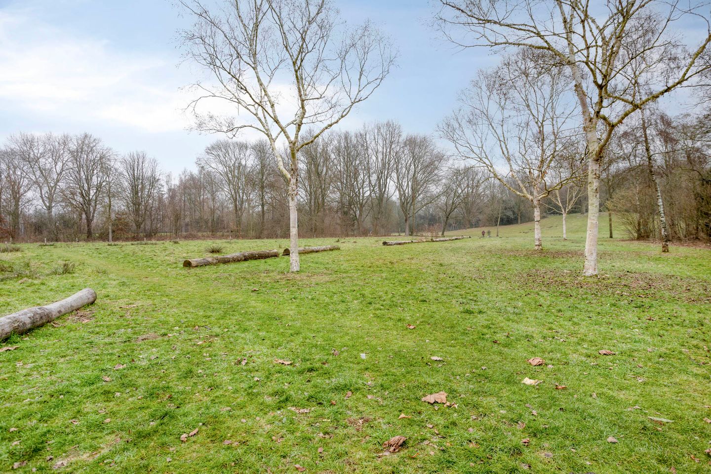 Foto 35 van Rode Kruislaan 53