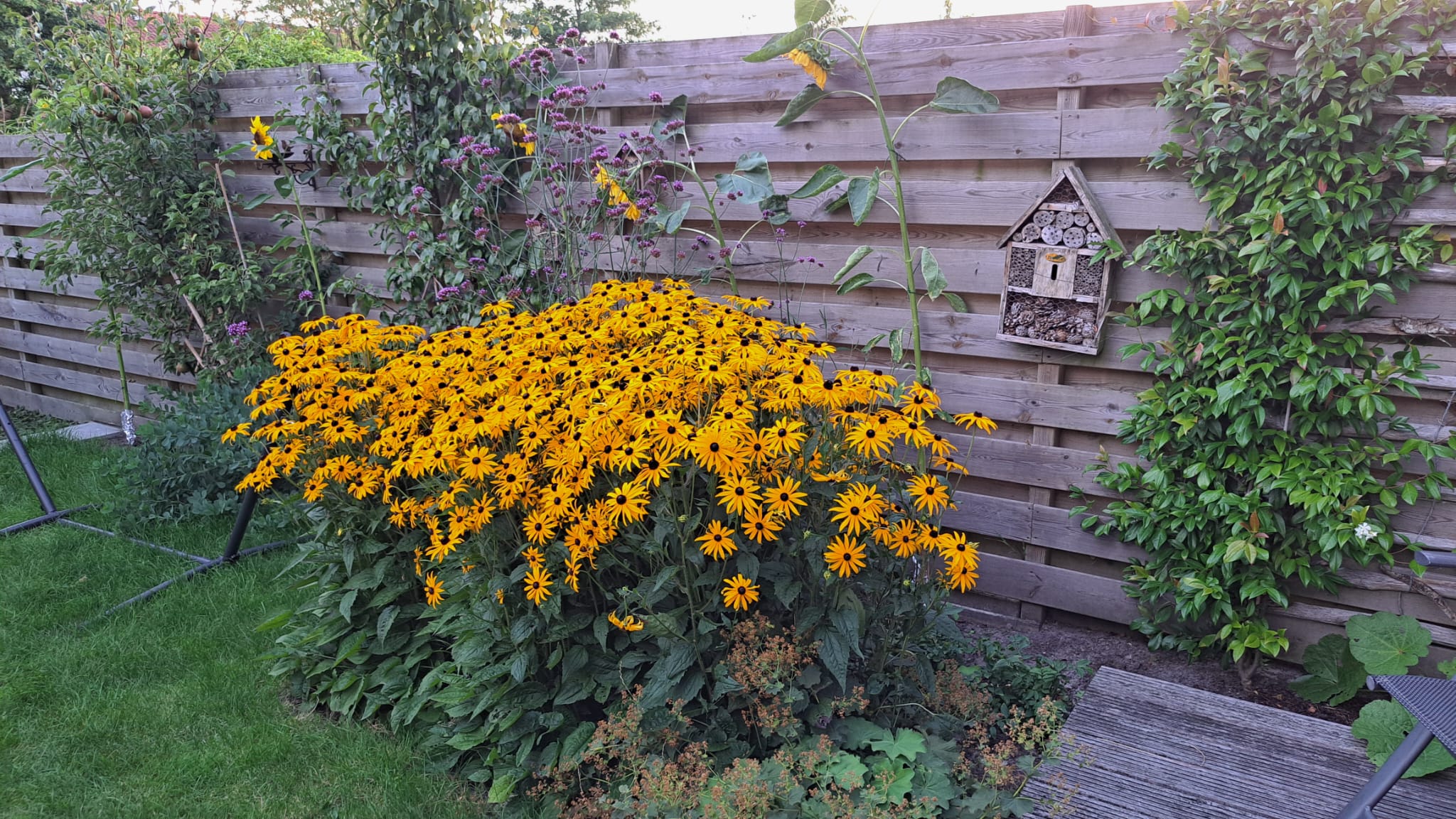 Foto 36 van Commanderij 9