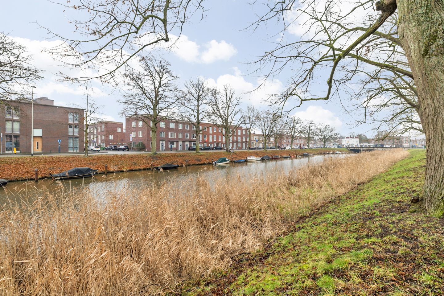 Foto 49 van Mauritssingel 10