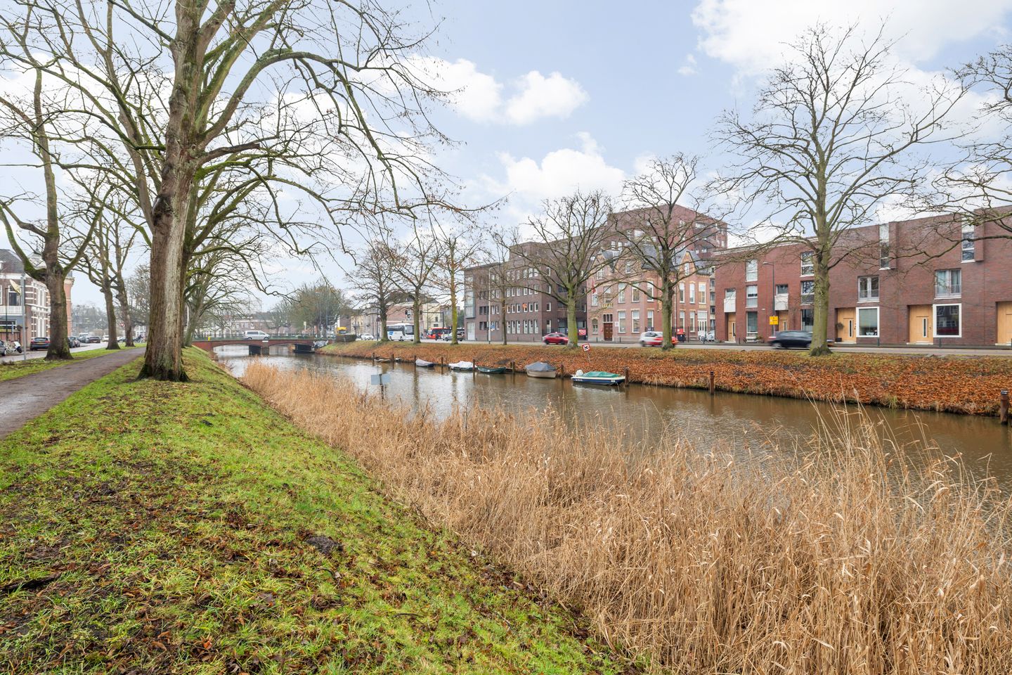 Foto 50 van Mauritssingel 10