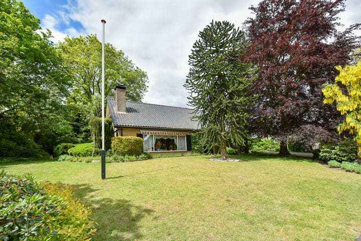 Hogesteeg 4 main image