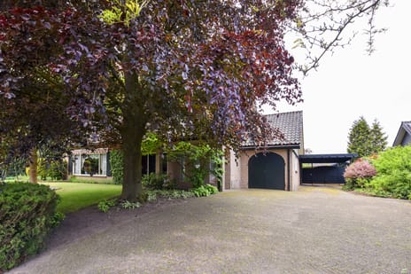 Hogesteeg 4 tertiary image