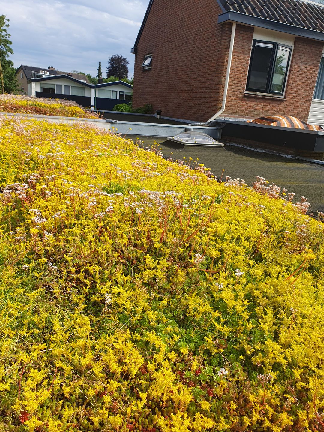 Foto 31 van Zeisterweg 39