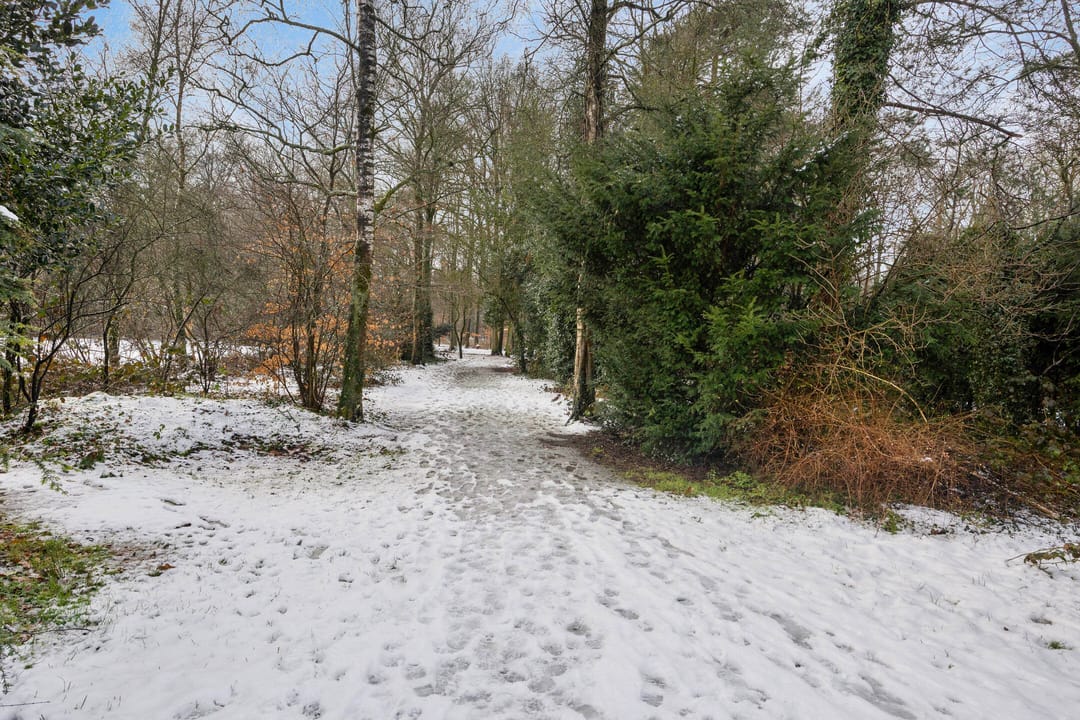 Foto 32 van Peter van Anrooylaan 36