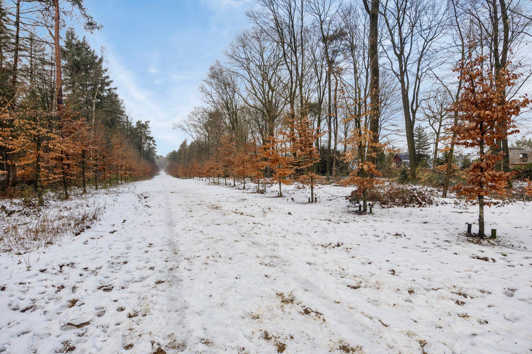 Foto 33 van Peter van Anrooylaan 36