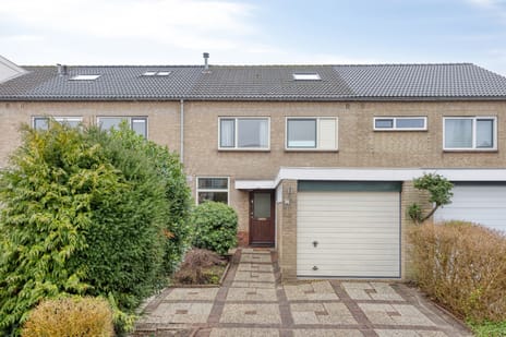 undefined main image