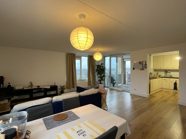 Foto 4 van Hermelijnvlinder 41