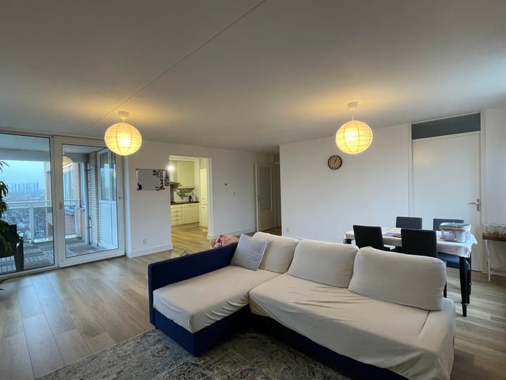 Foto 5 van Hermelijnvlinder 41