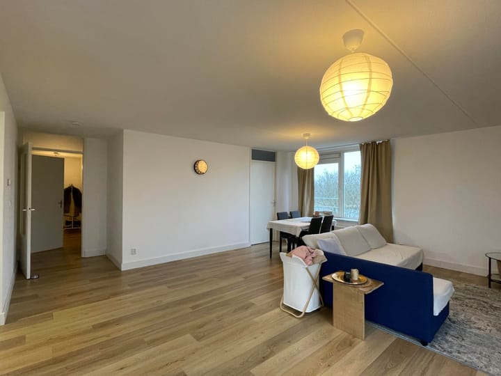 Foto 3 van Hermelijnvlinder 41