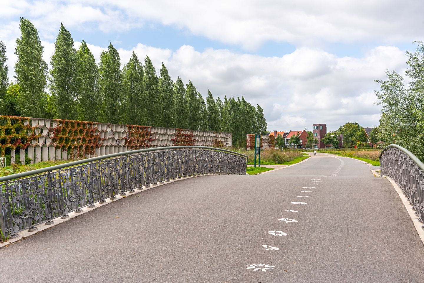 Photo 50 of Charley Tooropstraat 6