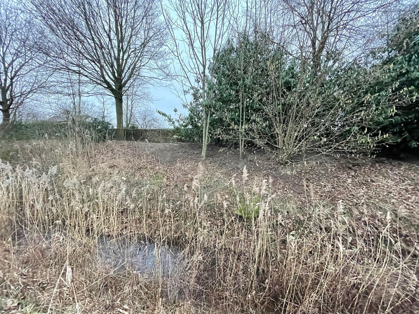 Bekijk foto 5 van Van de Reijtstraat 78