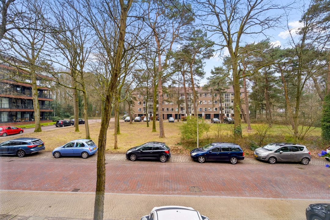 Foto 11 van Pieter Jelles Troelstralaan 63-A