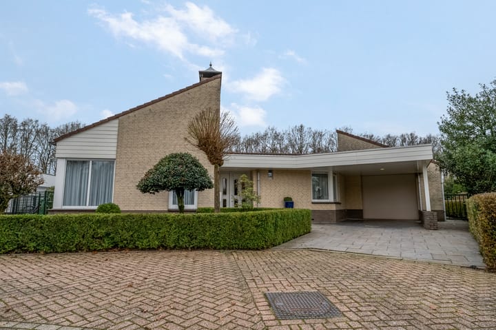 Photo 5 of Holtgesbroek 1009