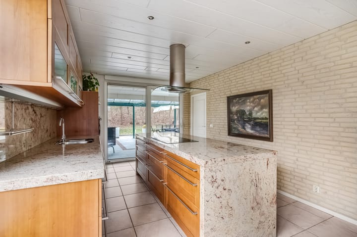 Photo 13 of Holtgesbroek 1009