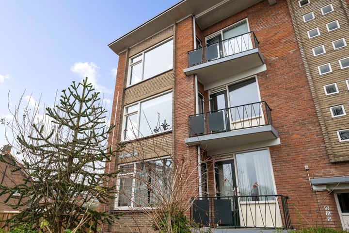 Foto 24 van Joost van den Vondellaan 11