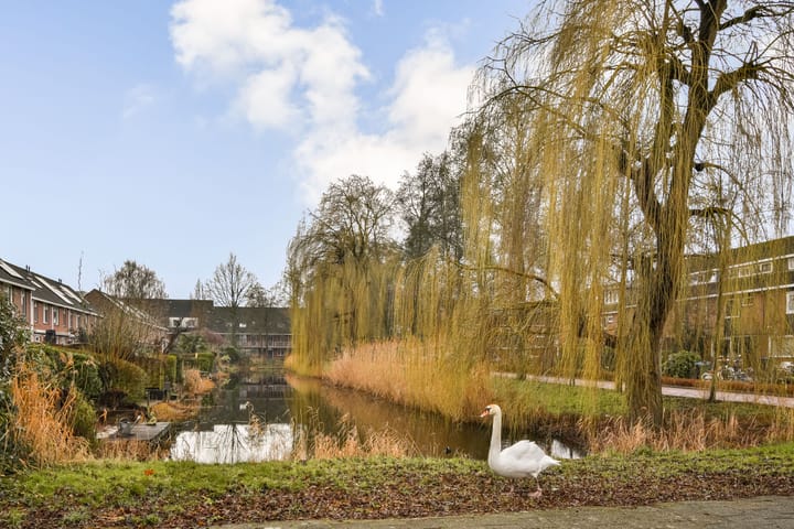 Photo 4 of Pijnboomdreef 5