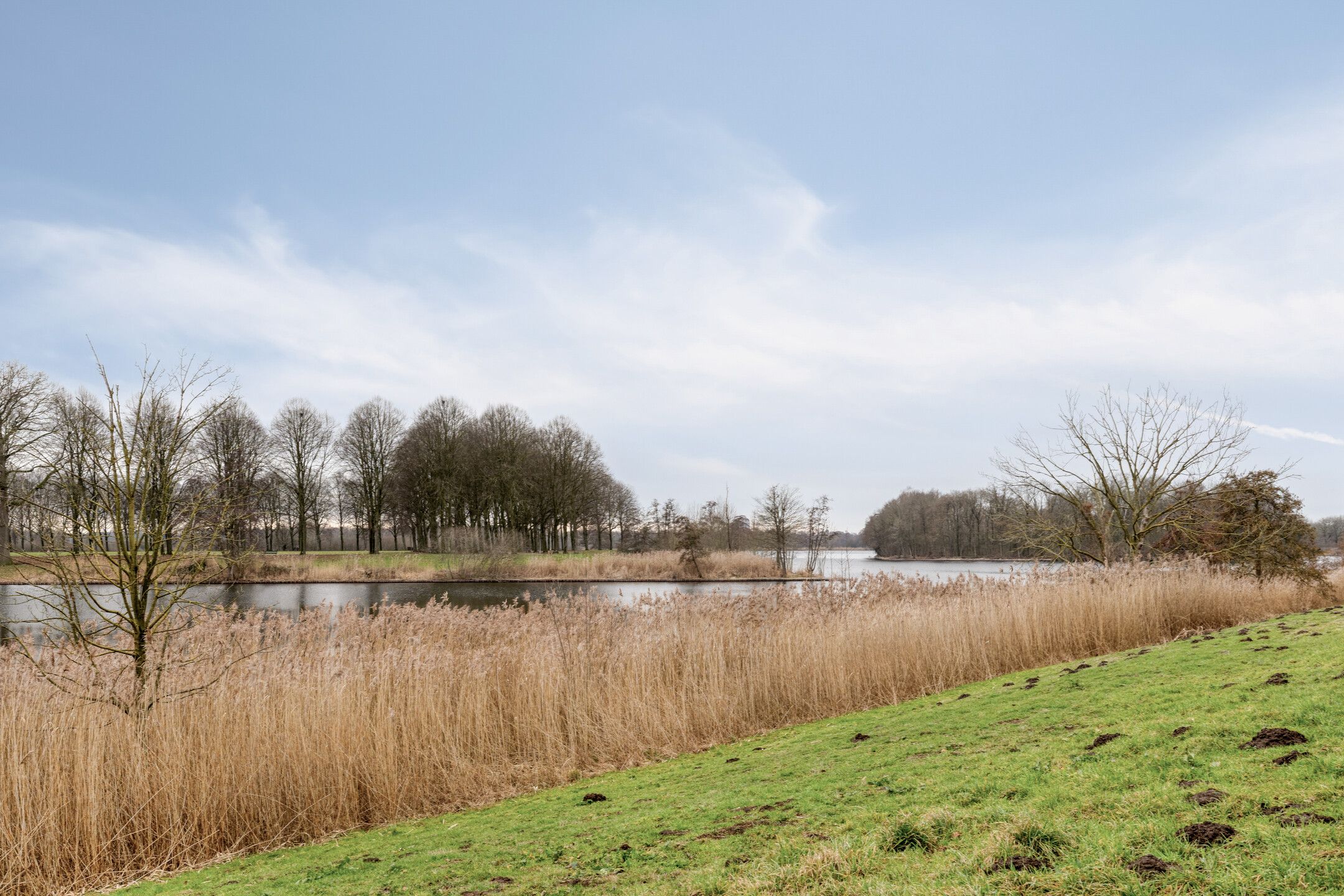 Foto 21 van Schubertsingel 107