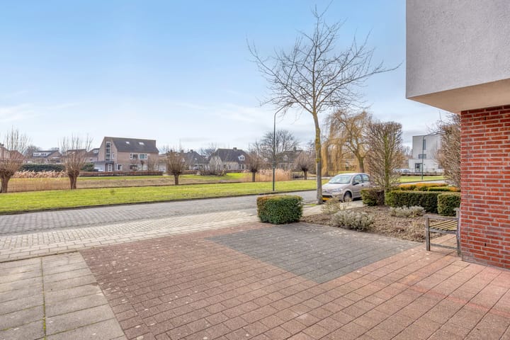 Foto 6 van Bosven 307