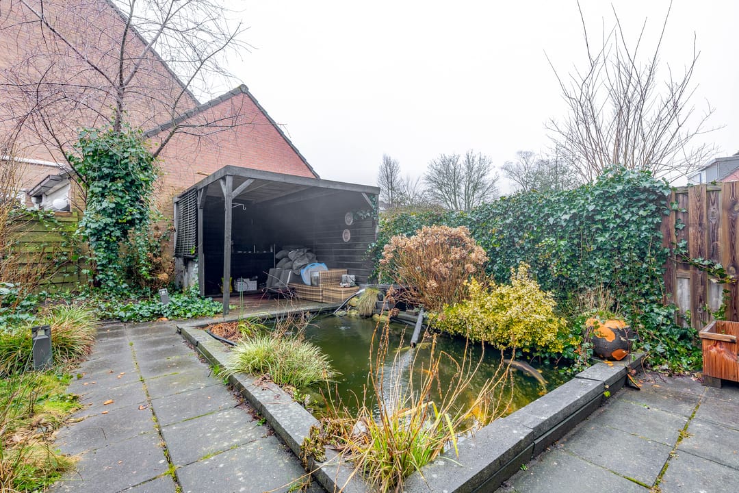 Foto 31 van Boekweitveld 10