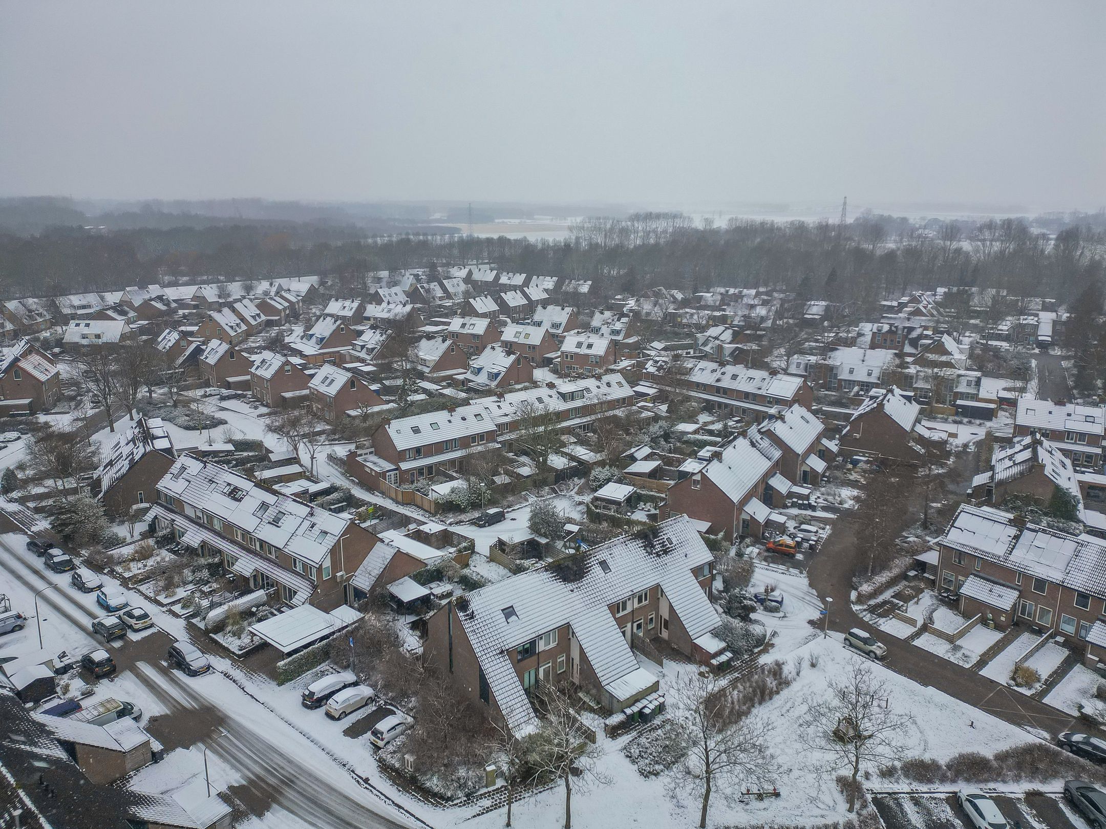 Foto 42 van Boekweitveld 10