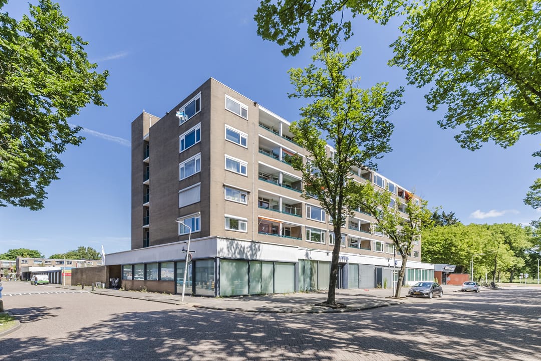 Foto 41 van Spaansgroenstraat 58