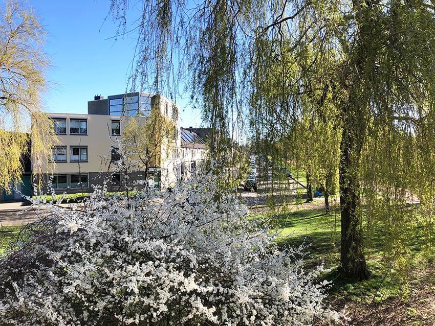 Photo 27 of Burgemeester Krollaan 121