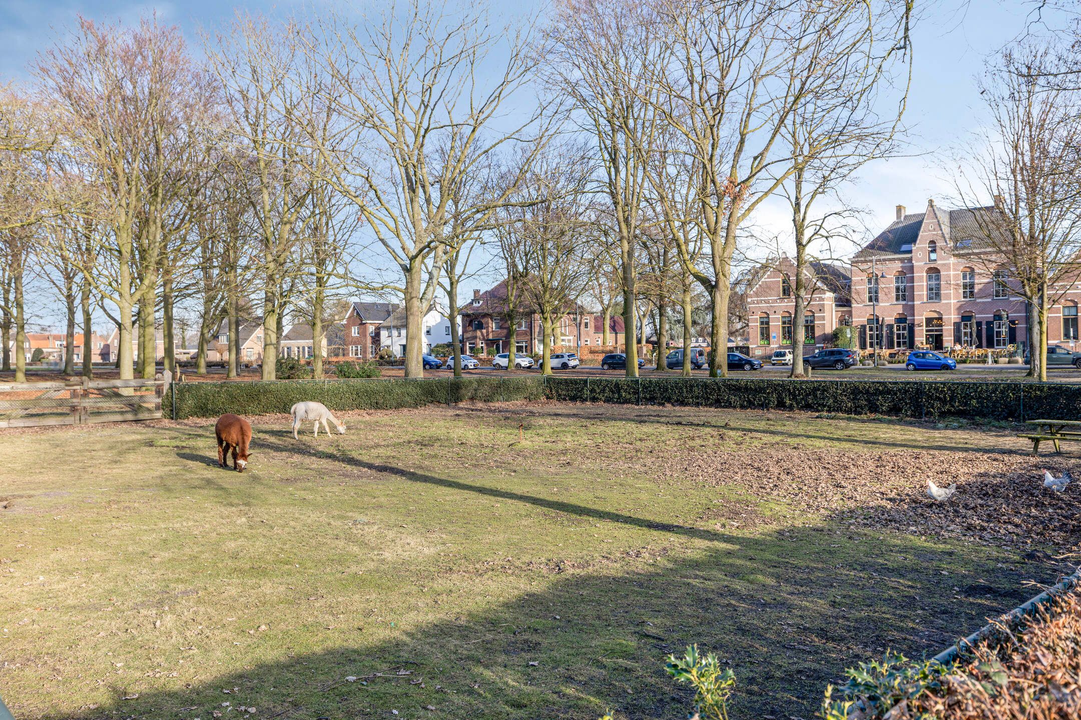 Photo 45 of Houtse Heuvel 47