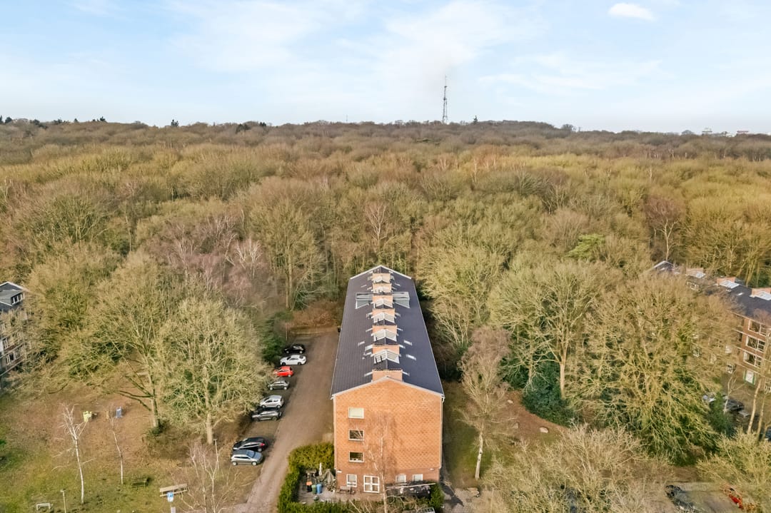 Foto 28 van Surinamelaan 97-B