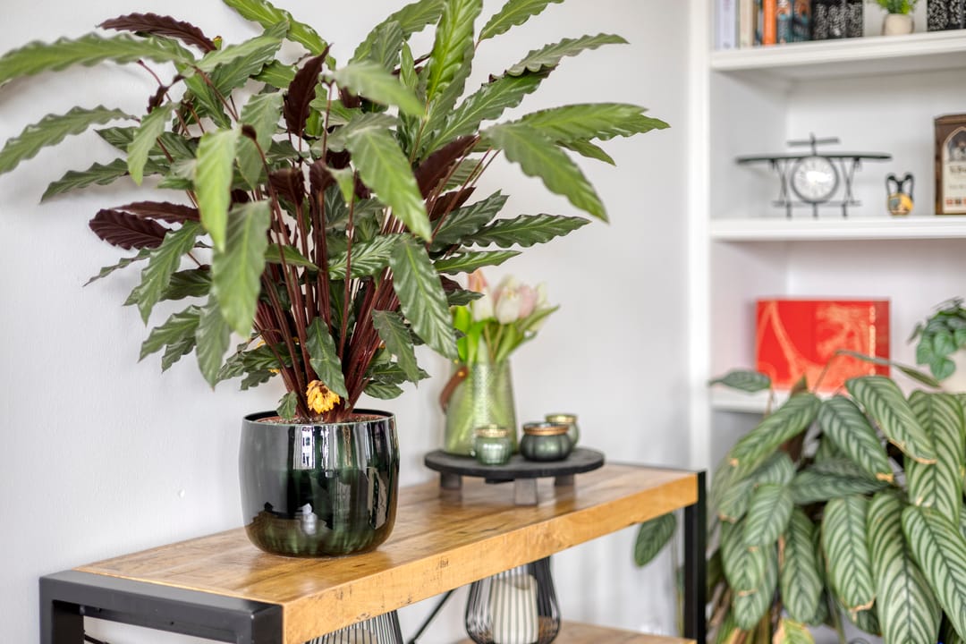 Foto 13 van Hudsonlaan 142